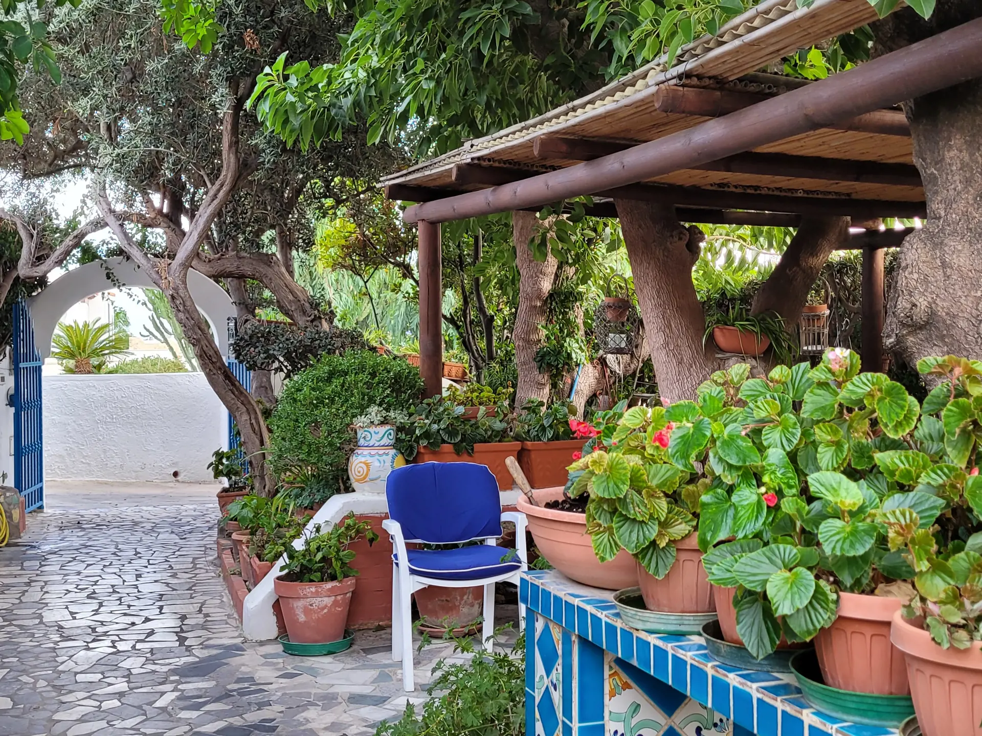 En liten del av den koselige hagen på Hotel Villa Maria på Ischia